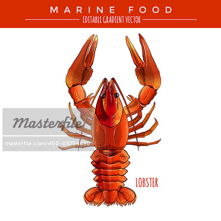 Red Lobster illustration. Marine food, editable gradient vector