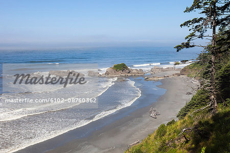 Scenic view of beach