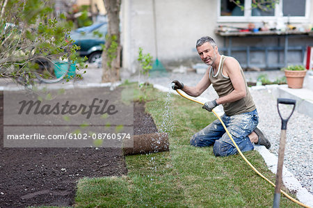 Man watering turf in garden