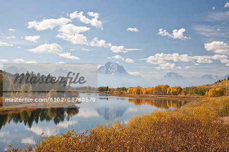 Scenic landscape with aspen trees