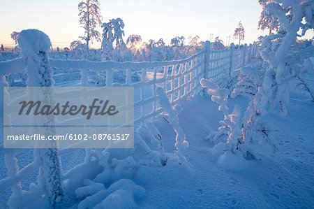 Fence covered with snow