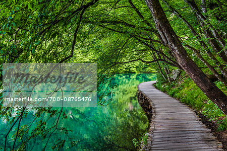 Trees hanging over a footbridge at Plitvice Lakes National Park in Lika-Senj county in Croatia