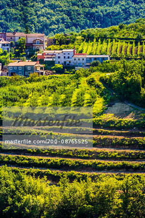 Overview of fertile farmland and the village of Brtosici (Bertossici) in the hills near Motovun in Istria, Croatia