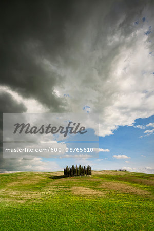 Ominous clouds over a grove of cypress trees on an open field in San Quirico D'Orcia in Val d'Orcia in Tuscany, Italy Ominous clouds over a grove of cypress trees on an open field in San Quirico D'Orcia in Val d'Orcia in Tuscany, Italy