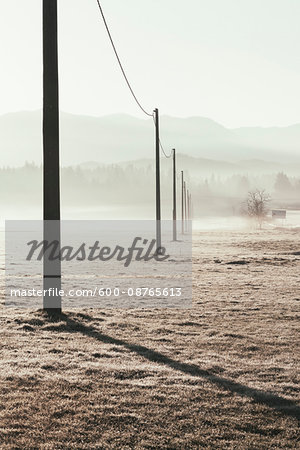 White fog over field with hydro poles in a row, Italy