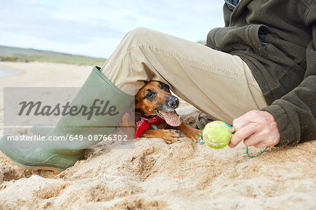 Man and pet dog sitting on beach, Constantine Bay, Cornwall, UK