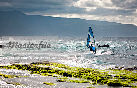Windsurfer having fun on the ocean during a windy day.