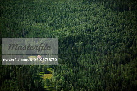 A house in woodland scenery, Varmland, Sweden.