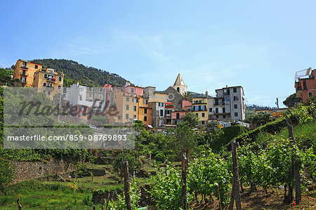 Italy, Liguria, Cinque Terre, Corniglia, UNESCO World Heritage