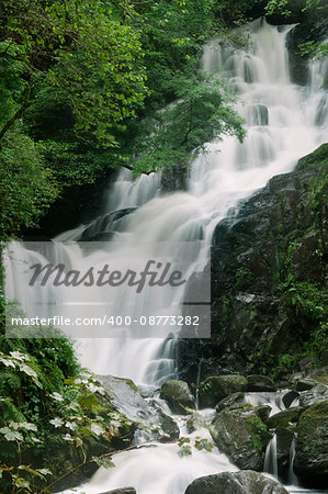 Torc Waterfall in Killarney National Park, County Kerry, Ireland, Europe