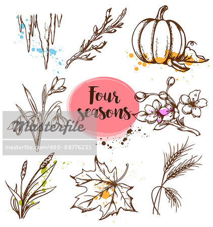 Set of vector hand drawn nature design elements in vintage style. Seasonal specifics.