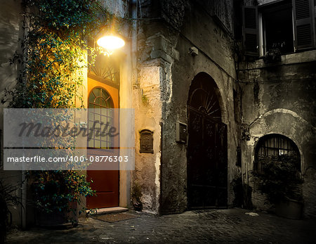 Old district Trastevere in Rome in the night, Italy