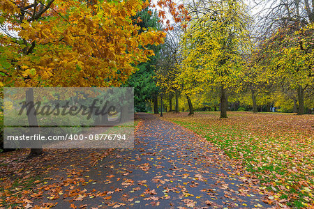 Fall foliage at Laurelhurst Park in city of Portland Oregon during Autumn season