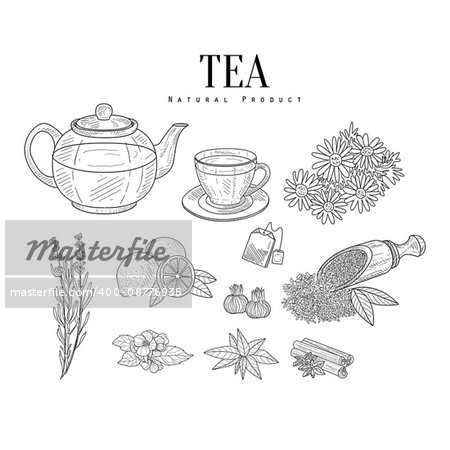 Natural Ingredients And Tea Isolated Hand Drawn Realistic Sketches. Artistic Pencil Detailed Contour Illustration On White Background.