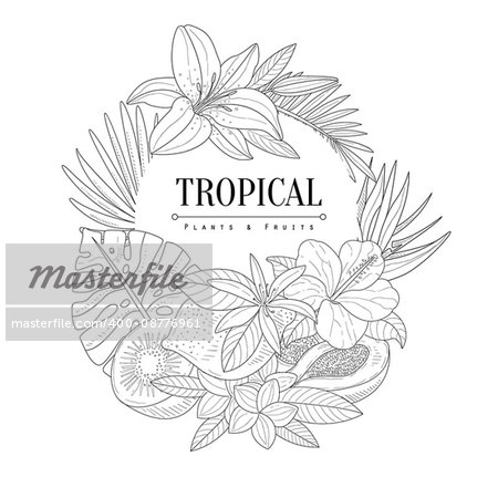 Topical Fruits And Plants Logo Hand Drawn Realistic Sketch. Hand Drawn Detailed Contour Illustration On White Background.