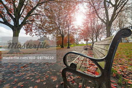 Park Benches in Waterfront Park in downtown Portland Oregon during fall season