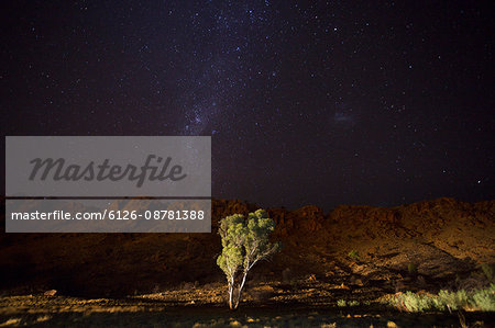 Australia, Northern Territory, Alice Springs, Starry sky over mountains and single tree