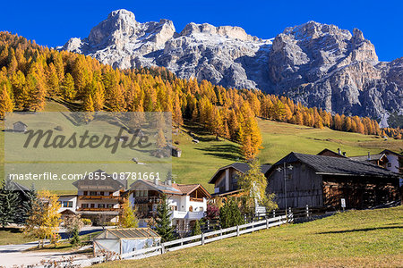 Autumn larch colours at Dolomiti Alps, Dolomites, Italy