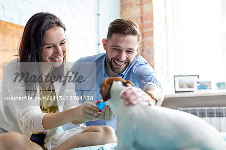 Smiling couple petting Jack Russell Terrier dog on bed