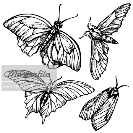 Monochrome, black and white seamless background with butterflies. Elegant elements for design, can be used for wallpaper, decoration for bags and clothes. Hand drawn contour lines and strokes.