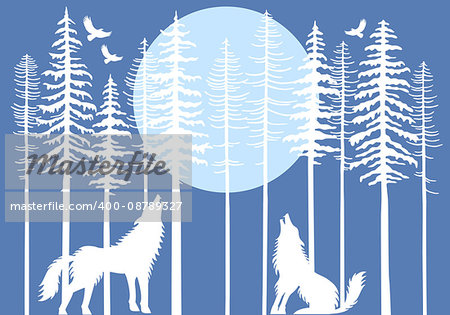 Howling wolf in fir tree forest with blue moon, vector illustration