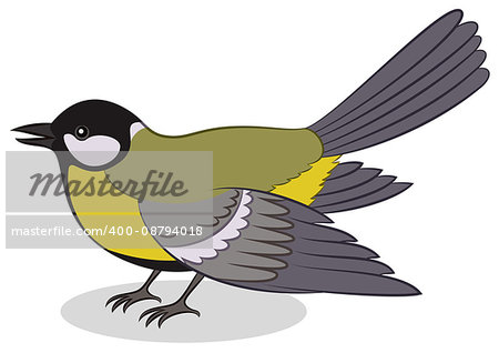 Realistic Cartoon Bird Titmouse, Isolated on White Background. Vector