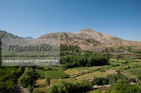 A village and terraced fields of wheat and potatoes in the Panjshir valley in Afghanistan, Asia