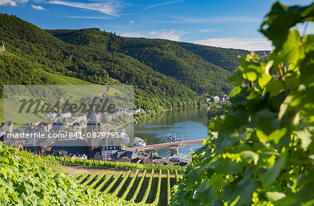 View of vineyards and River Moselle, Bernkastel-Kues, Rhineland-Palatinate, Germany, Europe