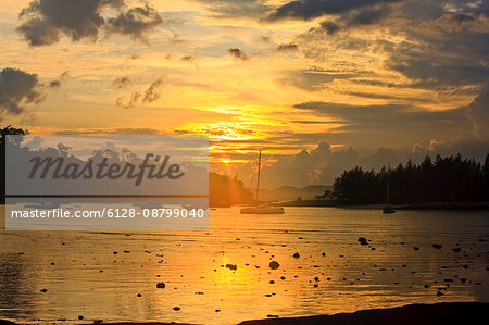 View of sailboats bathed in a sunset glow.