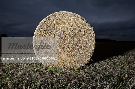 Bales on a field at dawn, Sweden.