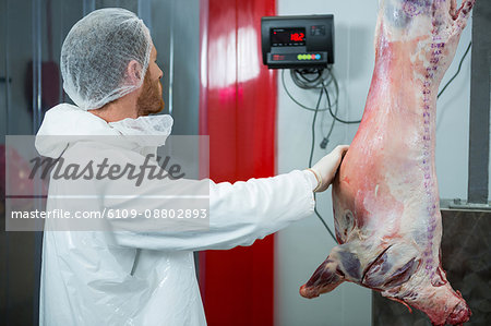 Butcher weighing raw meat at meat factory