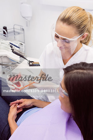 Dentist showing model teeth to female patient in dental clinic