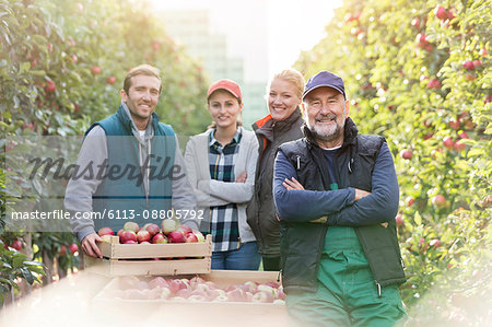 Portrait smiling farmers harvesting apples in orchard