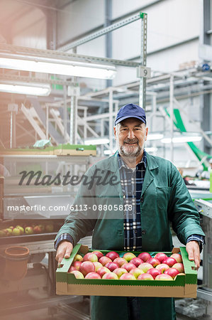 Portrait smiling worker carrying box of apples in food processing plant