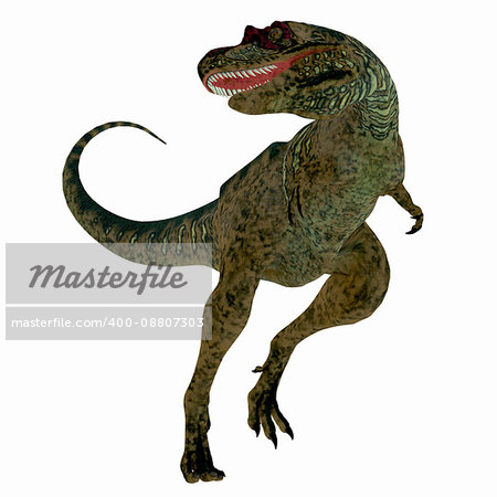 Albertosaurus was a theropod carnivorous dinosaur that lived in the Cretaceous Period of North America.