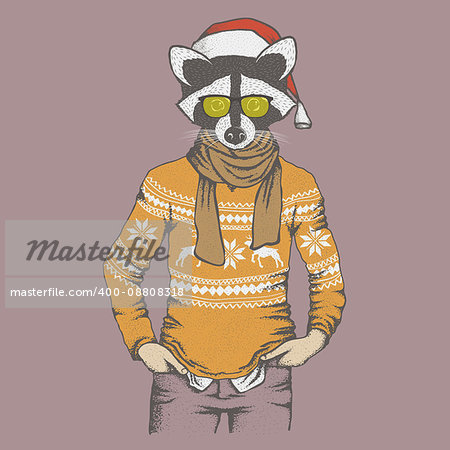 Christmas raccoon vector illustration. Raccoon in human sweater, sweatshirt and Santa hat. Adorable mammal raccoon on New Year