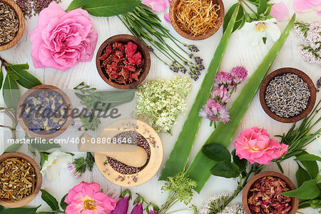 Natural alternative medicine selection with fresh and dried flowers and herbs on distressed white wood background.