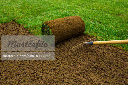 Gardener applying turf rolls in the backyard