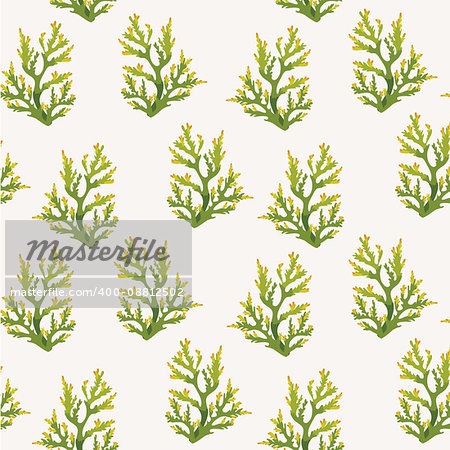 Vector sea wallpaper - seamless pattern with green corals on a white background.