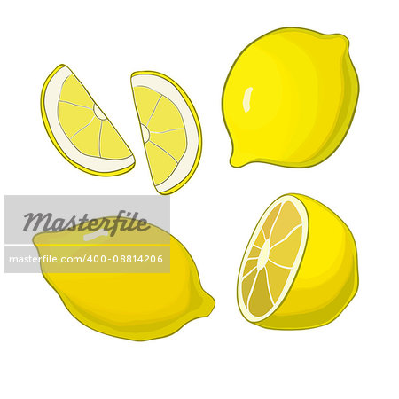 Lemons, four views. Fresh, natural lemons: whole, half, slice wedge Graphic illustrations isolated on white background
