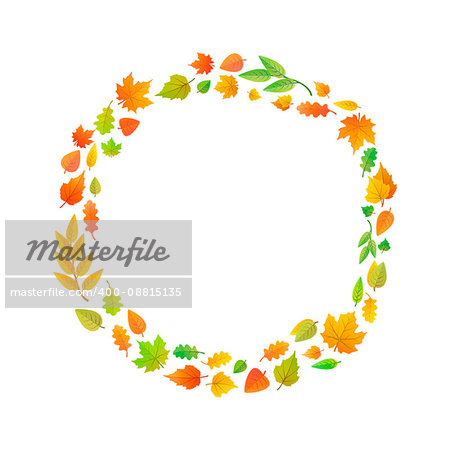 A wreath of autumn leaves. Cute leaves arranged in ring shape isolated on white