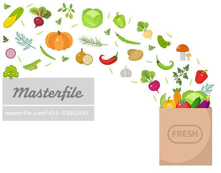 Shopping paper bag with fresh vegetables. Flat design. Set vegetables banner with space for text, isolated on white background. Healthy lifestyle, vegan, vegetarian diet, raw food. Vector illustration