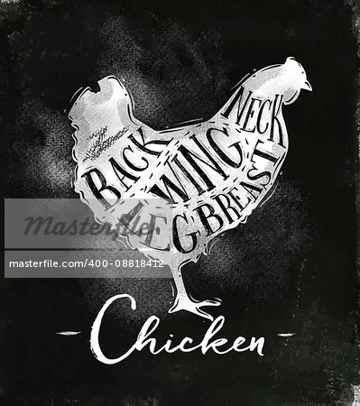 Poster chicken cutting scheme lettering neck, back, wing, breast, leg in vintage style drawing with chalk on chalkboard background