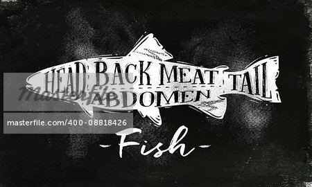 Poster fish cutting scheme lettering head, back meat, abdomen, tail in vintage style drawing with chalk on chalkboard background