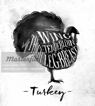 Poster turkey cutting scheme lettering wing, tenderloin, thigh, leg, breast in vintage style drawing on dirty paper background