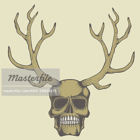 Vector skull with deer horn illustration concept. Hand drawn human skul