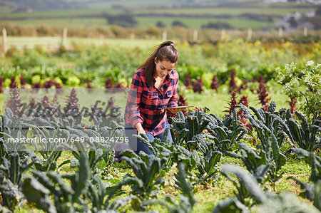 Woman in vegetable garden using digital tablet