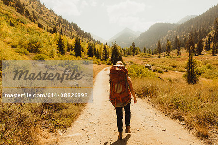 Woman wearing backpack, walking along rural pathway, rear view, Mineral King, Sequoia National Park, California, USA