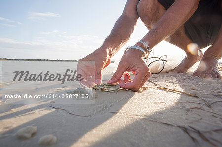 Man freeing crab and fish from net, Fort Walton Beach, Florida, USA