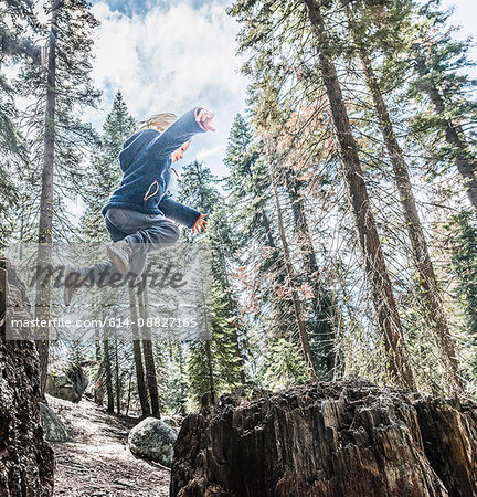 Young boy jumping in forest, mid air, Sequoia National Park, California, USA